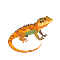 Fototapeta premium Orange And Brown Lizard Illustration
