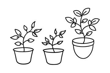 Obraz premium Simple Hand Drawn Vines And Leaves In Clay Pot