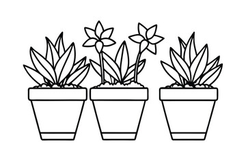 Potted Flower Garden Theme In Sketchy Vector