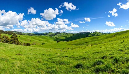 Rolling green hills under a bright blue sky with scattered fluffy clouds, peaceful rural setting, panoramic view