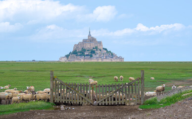 Sheep grazing in the meadow with the Mont Saint Michel in the background
