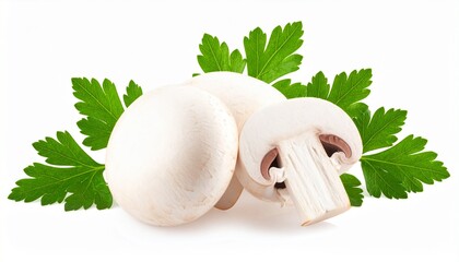 fresh mushrooms on a white background