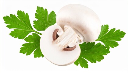 fresh mushrooms on a white background
