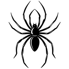 Obraz premium Creepy Spider Outline Vector High-Quality for Halloween Decor, Digital Art & T-Shirts