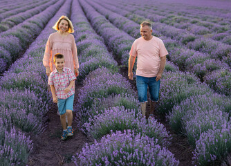 Beautiful friendly family: dad, mom and their son in purple lavender field at sunset in summer