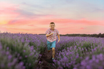 Happy boy in plaid shirt running through purple lavender field at sunset in summer