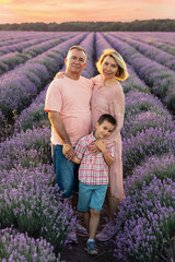 Beautiful friendly family: dad, mom and their son in purple lavender field at sunset in summer
