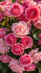 Fototapeta premium Pink roses bouquet with fresh blossoms and green leaves beautiful floral gift for love and romance