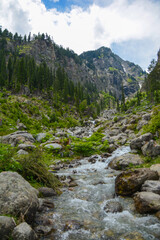 mountain river in the mountains