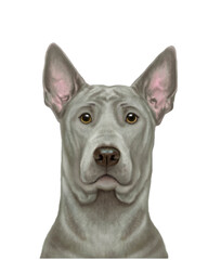 Realistic Thai Ridgeback Dog Portrait with Neutral Background. Soft texture painting . chic and cute dog portrait.