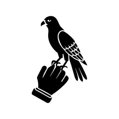 a trained falcon perched on a gloved human hand
