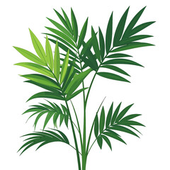 Fototapeta premium Tropical Palm Tree Illustration