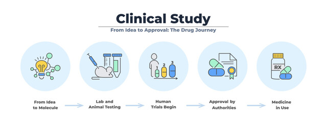 Color infographic banner with icon set for clinical study and drug development. From molecule to patient treatment, this medical vector shows each test and approval phase.
