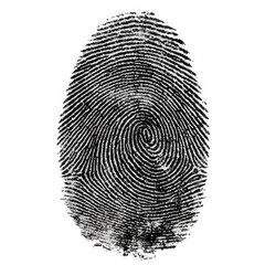 Closeup macro view of a detailed black fingerprint with a prominent spiral pattern on a clean transparent background