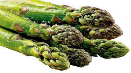 Fresh green asparagus spears with water droplets isolated on a clean transparent background ready for healthy cooking