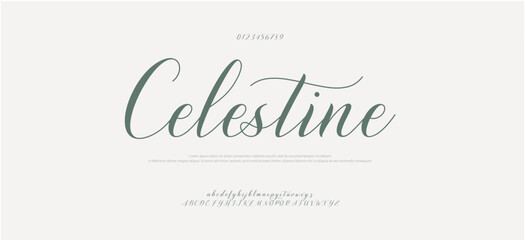 Signature Font Uppercase Lowercase and Number. Calligraphy Logotype Script Brush Font Type Font lettering handwritten. vector illustration 
