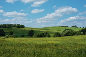 Obraz premium Lovely summer scenery in green hues near Pruzhany Brest region Belarus