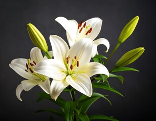 Naklejka premium Close-up of three white lilies against a dark background