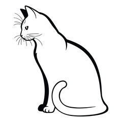 Elegant domestic cat sitting and looking to the side silhouette