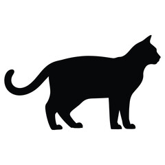 Black domestic cat standing profile silhouette