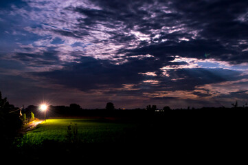 sunset over the field