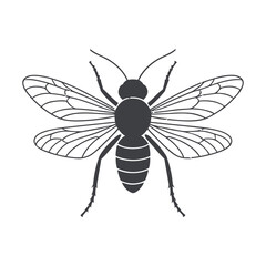 Detailed Honeybee Vector Illustration with Transparent Backdrop for Insect Studies and Apiculture Projects, Ideal for Educational Resources and Design