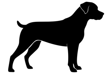 Albino Rottweiler Dog Silhouette animal canine