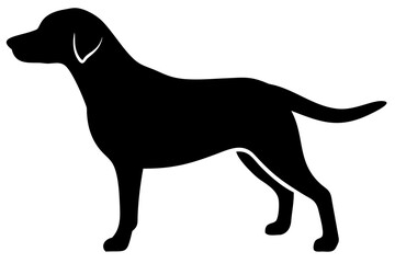 Albino Labrador Silhouette dog silhouette white dog