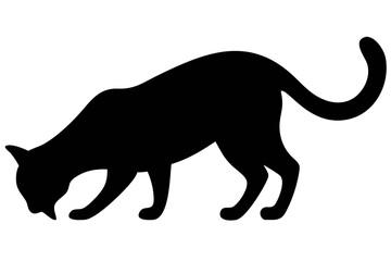 Black cat silhouette sniffing the ground animal