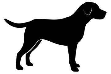 Brown Labrador Dog Silhouette Standing animal
