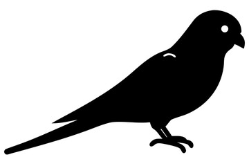 Budgerigar Bird Silhouette on White Background parrot