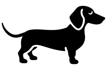 Mini dachshund dog silhouette on white background animal
