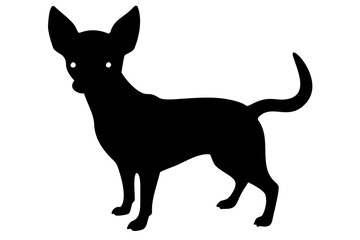 Mini chihuahua dog silhouette on white background animal
