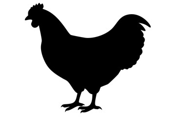 Orpington Chicken Silhouette poultry fowl