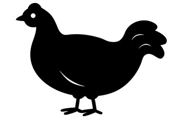 Polish Chicken Silhouette poultry bird