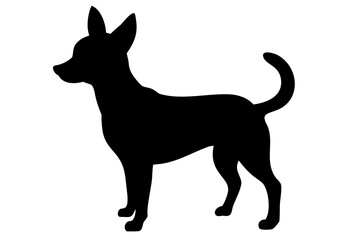 Red chihuahua dog silhouette animal