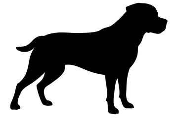 Rottweiler Dog Silhouette animal 1