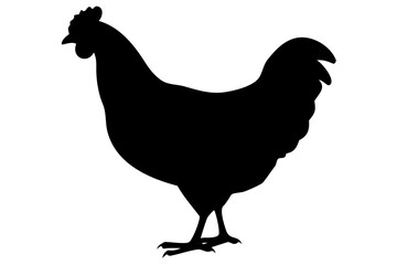 Sussex Chicken Silhouette poultry bird