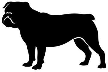 Tan bulldog dog silhouette on white background animal