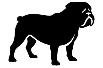 White Bulldog Silhouette on White Background animal