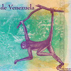 100 Bolivares Venezuela, with a portrait of a monkey. Fragment for designers. Money of Venezuela.