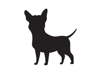  Chihuahua dog in sillhouette on white background