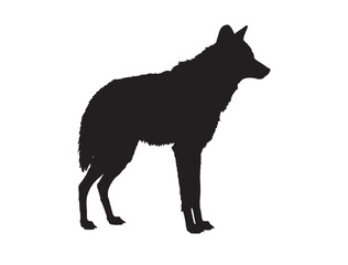 Maned Wolf in silhouette on white background