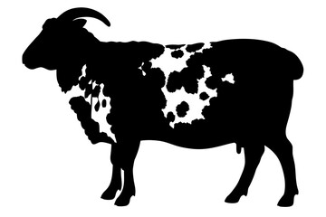 Black and white silhouette of a Jacob sheep animal
