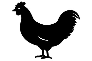 Brahma Chicken Silhouette poultry bird