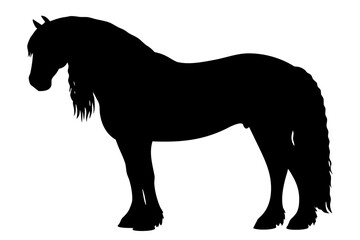 Black silhouette of a Friesian horse standing animal