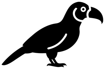African Grey Parrot Silhouette bird animal