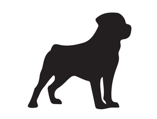 Rottweiler on white background in silhouette