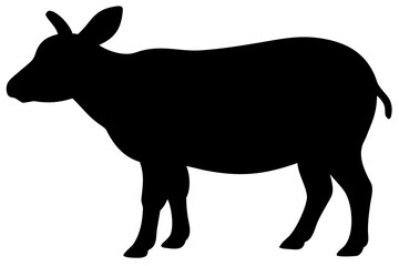 Flemish Giant Rabbit Silhouette animal