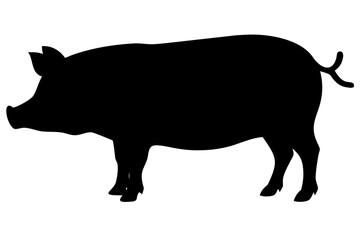 Hampshire Pig Silhouette animal farm animal
